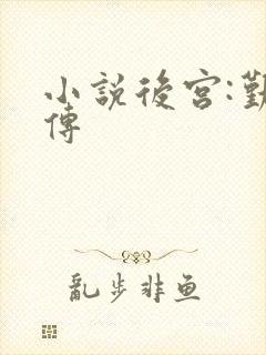 小说后宫:勤妃传