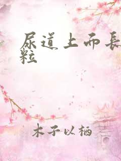 尿道上面长小肉粒