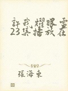 许我耀眼电视剧23集播放在线观看