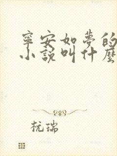 宁安如梦的原著小说叫什么