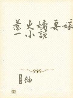 惹火娇妻嫁一送一小说