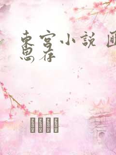 东宫小说 匪我思存