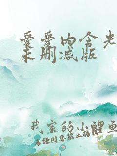 爱爱内含光床戏未删减版