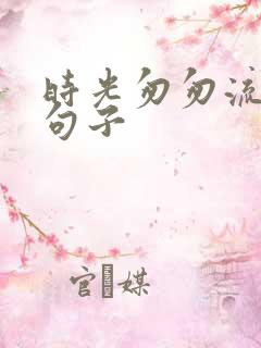 时光匆匆流逝的句子