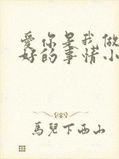 爱你是我做过最好的事情小说