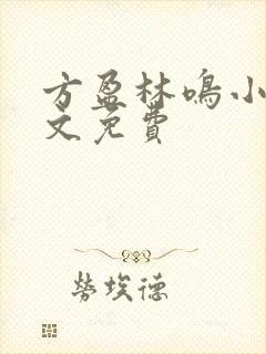 方盈林鸣小说全文免费