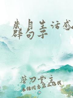 岁月生活感悟精辟句子