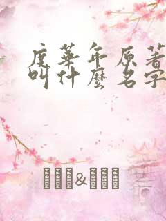 度华年原著小说叫什么名字