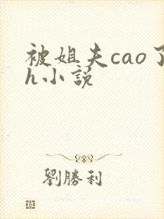 被姐夫cao了h小说