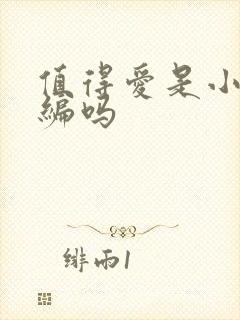 值得爱是小说改编吗