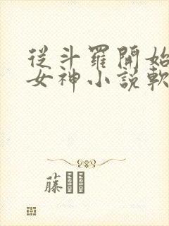 从斗罗开始俘获女神小说软件