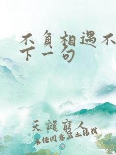 不负相遇不负卿下一句