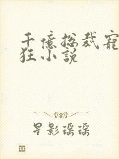 千亿总裁宠妻成狂小说