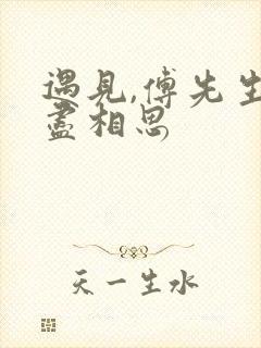 遇见,傅先生无尽相思