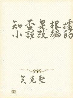 知否是根据什么小说改编的