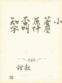 知否原著小说名字叫什么