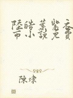 陆皓叶紫衣的都市小说免费阅读