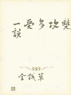 一受多攻双性小说