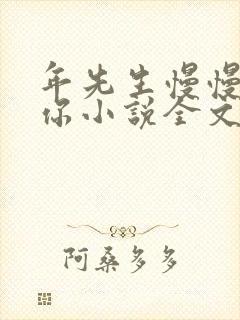 年先生慢慢喜欢你小说全文免费阅读