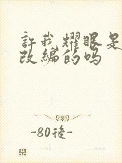 许我耀眼是小说改编的吗