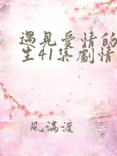 遇见爱情的利先生41集剧情