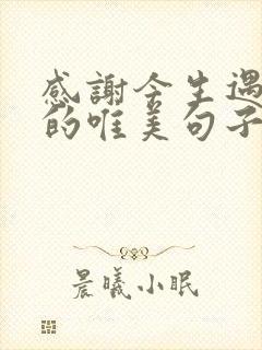 感谢今生遇见你的唯美句子