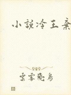 小说冷王弃妃