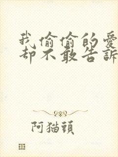 我偷偷的爱上你却不敢告诉你歌词