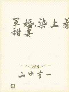 军婚,染上惹火甜妻