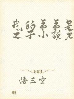 我的弟弟是天选之子小说免费阅读无弹窗