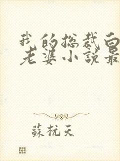 我的总裁白富美老婆小说最新更新