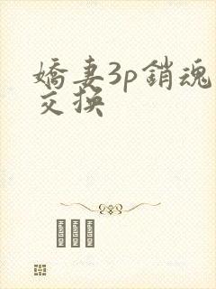 娇妻3p销魂的交换