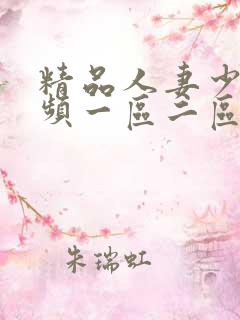 精品人妻少妇视频一区二区