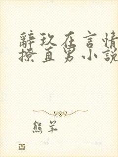 辞玖在言情文里撩直男小说