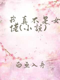 我真不是女装大佬(小说)