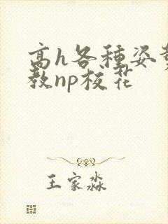 高h各种姿势调教np校花