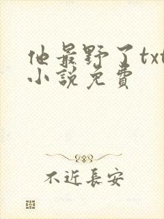 他最野了txt小说免费