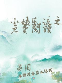 小姨风流之叶凡免费阅读