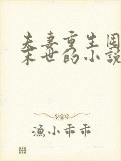 夫妻重生囤货过末世的小说