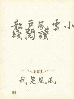 散户风云小说在线阅读