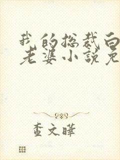 我的总裁白富美老婆小说免费讲述