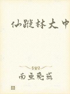 仙踪林大中国