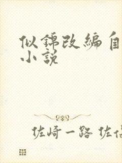 似锦改编自哪部小说