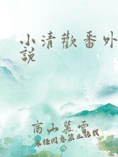 小清欢番外篇小说