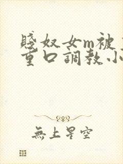 贱奴女m被主人重口调教小说