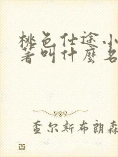 桃色仕途小说原著叫什么名字