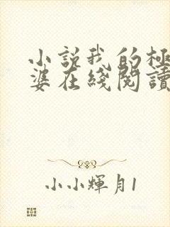 小说我的极品老婆在线阅读