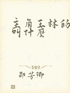 主角王林的小说叫什么