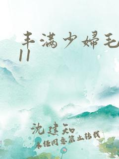 丰满少妇毛片911