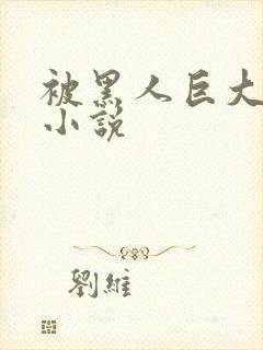 被黑人巨大进入小说